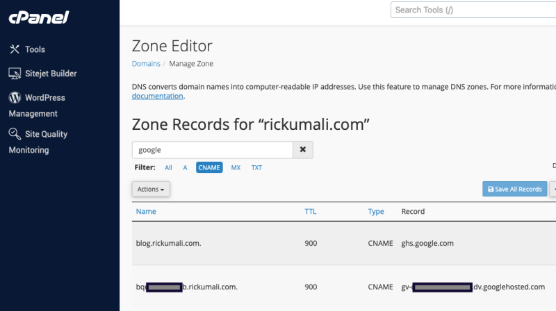 cPanel DNS Zone Editor